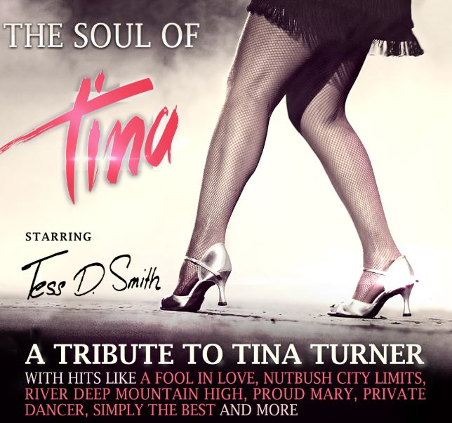 THE SOUL OF TINA - TINA TURNER TRIBUTE (DE/UK)